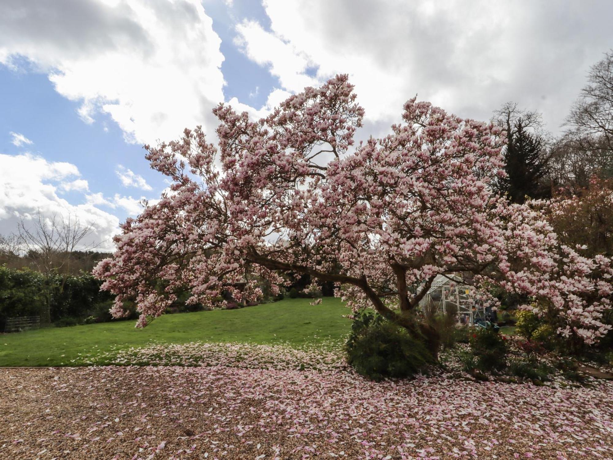 Beau Cottage Bewdley Bagian luar foto